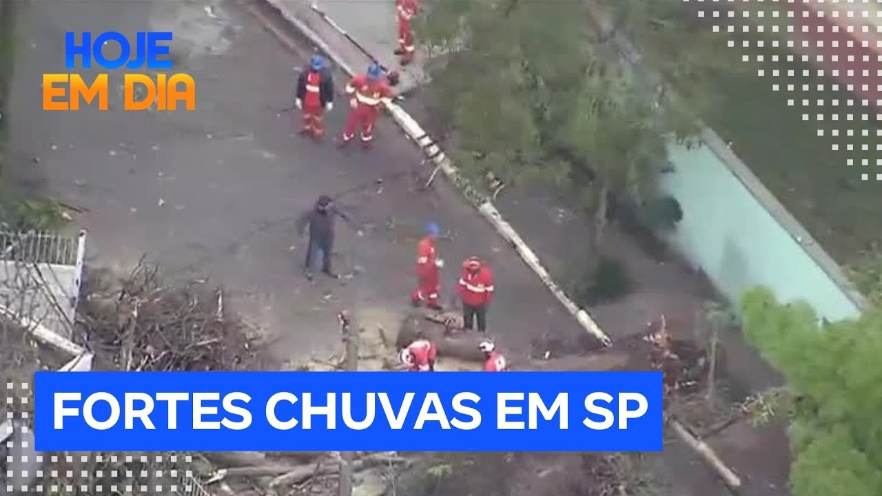 Fortes chuvas e vendavais provocam estragos no estado de São Paulo