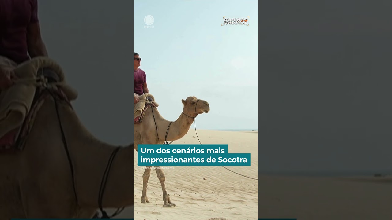 Um dos cenários mais impressionantes de Socotra | #DomingoEspetacular #Shorts